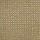 Masland Carpets: Alpha Iconic